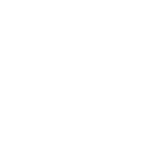 VISESA